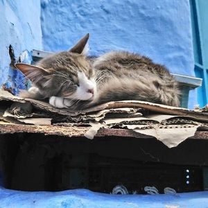 Meet your Posher, Ht